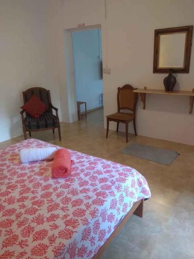 Les Antigones Bed & Breakfast พอร์ตมาตูริน ภายนอก รูปภาพ